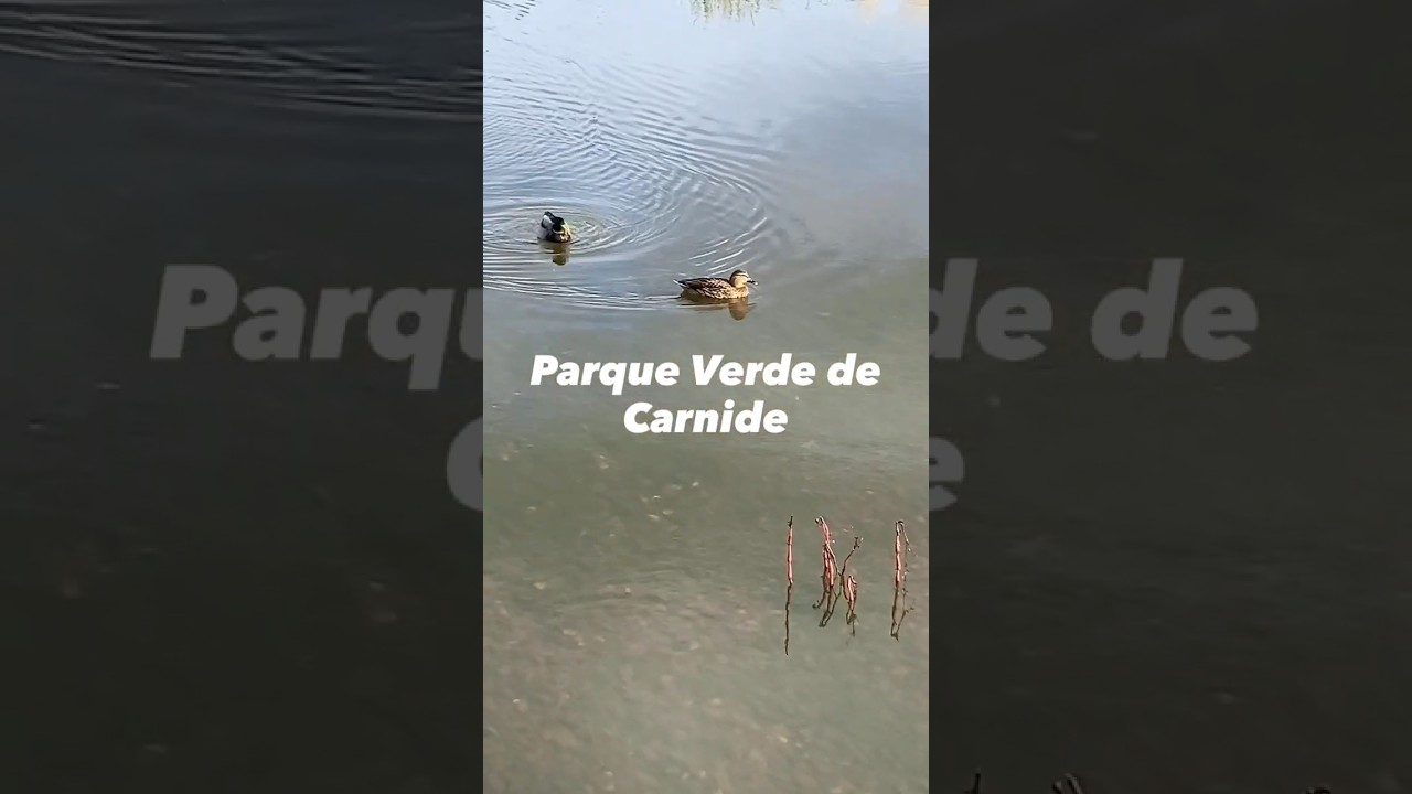 The Ultimate Escape in North Lisbon｜ 