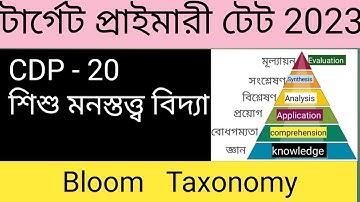 #Bloom taxonomy #bloom Taxonomy in Bengali #cognitive domain #primary #Tet #wb Tet #child psychology