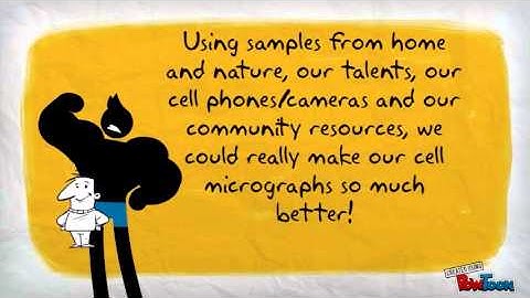 Collaboration- Photomicrography