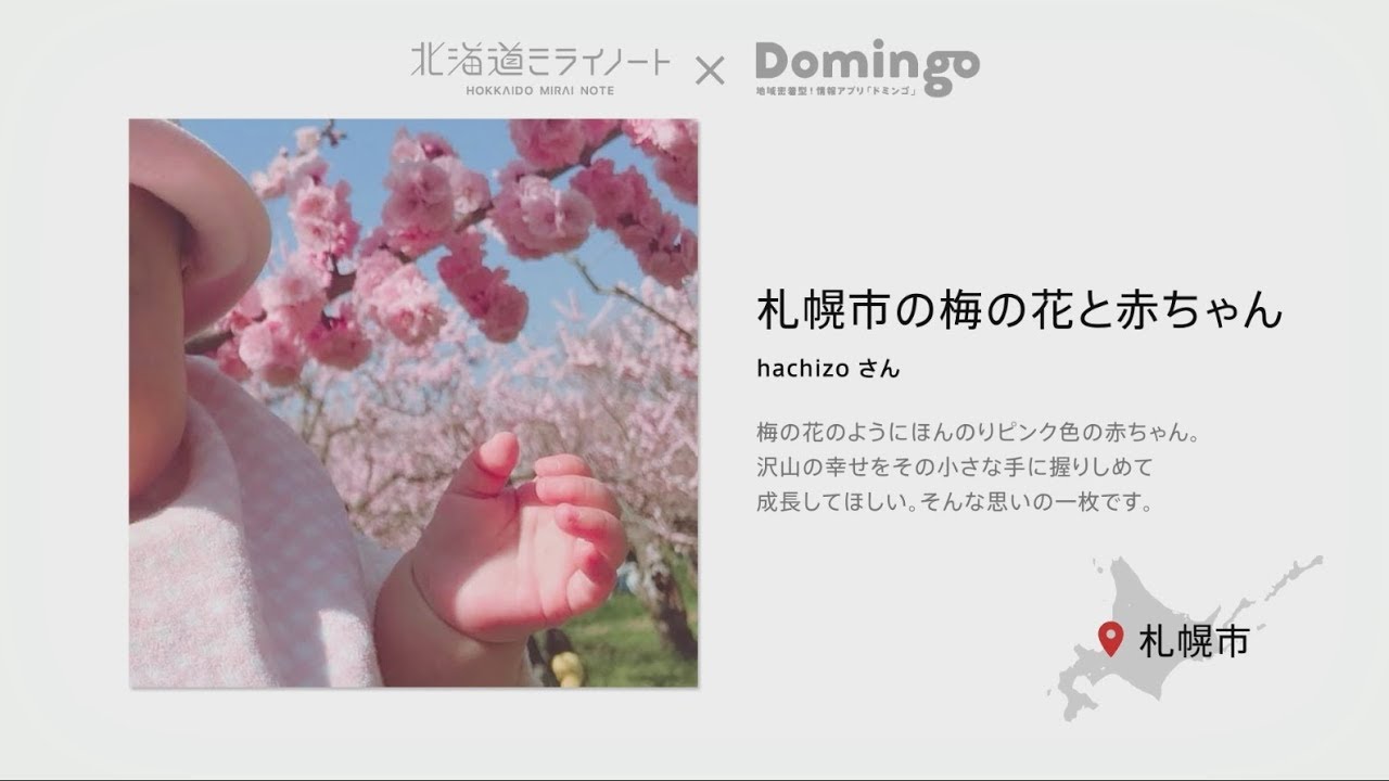 北海道ミライノート Domingo 北海道の四季 Youtube