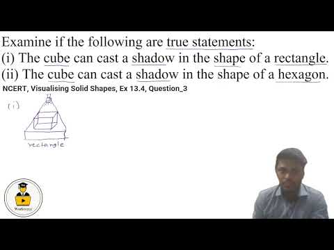 Class 7 NCERT Maths | Ch 13: Visualising Solid Shapes | Ex 13.4 Q3 Solution