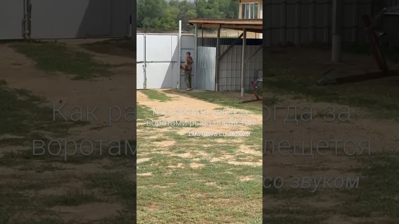 Как работать, когда за воротами рыба плещется 