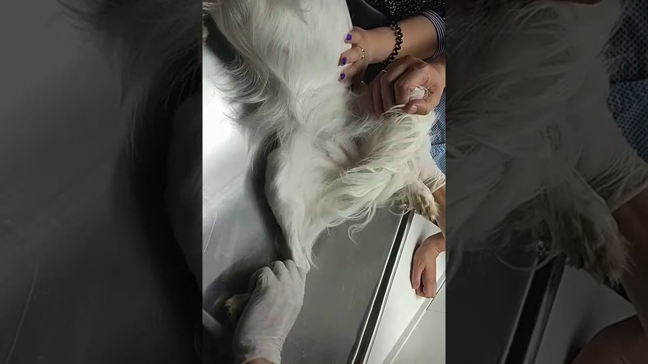 Основные рентгенографические укладки, Матвей Симаков