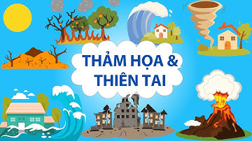 Natural Disasters | Dạy Bé Học Tiếng Anh Chủ Đề Thảm Họa & Thiên Tai | Sóng Thần, Động Đất, Vòi Rồng