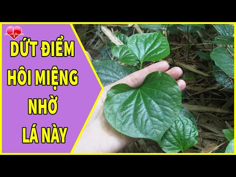 vệ sinh răng miệng đúng cách tại Kemtrinam.vn