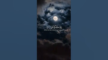 #explore #اكسبلور #راحة_نفسية #edit #لايك #تلاوة_خاشعة #تلاوة_هادئة #duet #دويتو