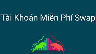 Đầu tư forex | Tài khoản miễn phí swap là gì - Cách mở tài khoản forex miễn phí swap