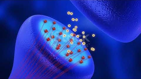 The Synaptic Symphony: A Journey Through Neurobiology #Biology #Neuroscience #Synapse #BrainFunction