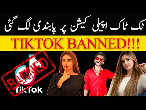 SHC orders banning TikTok in Pakistan