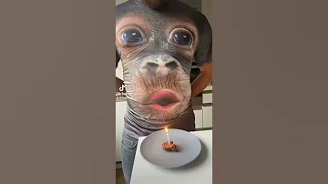 Une Meilleure Vidéo Pour Souhaiter Un Joyeux Anniversaire à Votre Partenaire 