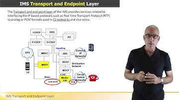 IMS Transport and Endpoint Layer