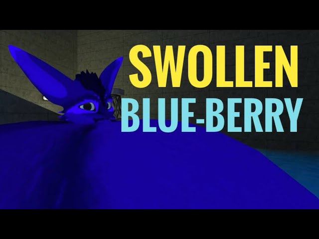 Furry blueberry inflation - YouTube