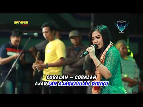 Putri Rahayu - Ajarkan | Dangdut (Official Music Video)