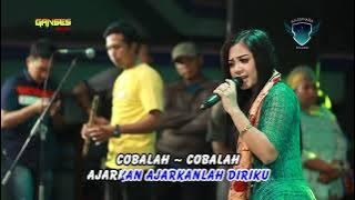 Putri Rahayu - Ajarkan | Dangdut ( Music Video)