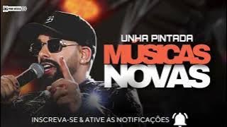 UNHA PINTADA - MÚSICAS NOVAS - NOVEMBRO 2025