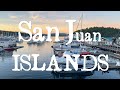 Epic san juan islands boat trip