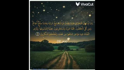 وما يستوى البحران هذا عذب فرات سائغ شرابه وهذا ملح أجاج القارئ امير عبدالرحمن