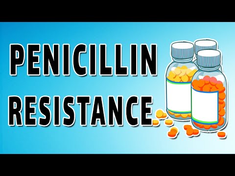 Nafcillin, Dicloxacillin, और Cloxacillin - पेनिसिलिनस संवेदनशील और पेनिसिलिनस प्रतिरोधी