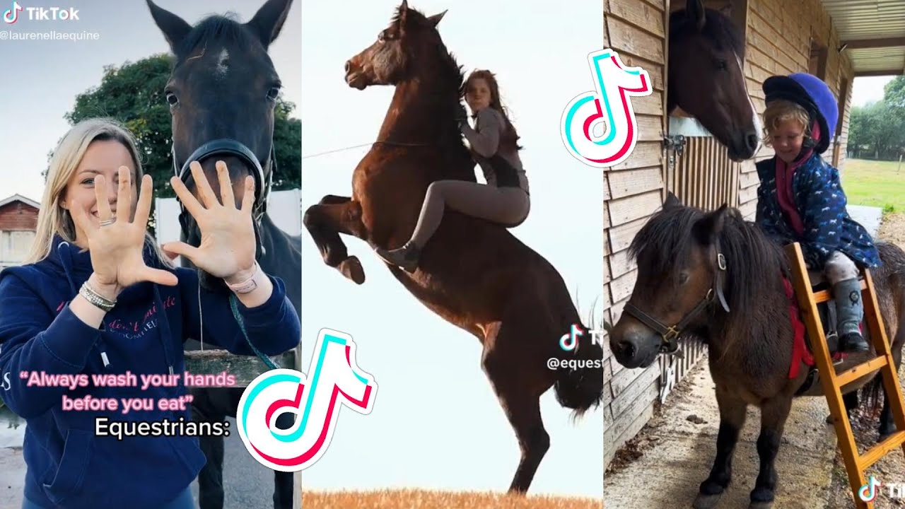 The Cutest HORSES Equestrian TikTok Compilation #100