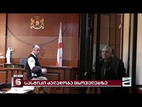 გორში, ძაღლის დაჭრისთვის დაკავებულს გირაოს სანაცვლოდ გაათავისუფლებენ