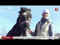 Чого не зробиш заради порятунку тварин: родина з Черкащини переїхала до села, щоб врятувати коней