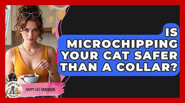 Is Microchipping Your Cat Safer Than A Collar? - Happy Cat Handbook