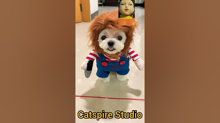 😱💸Cute dog won Squid Game | dog | funny | cartoon #shorts