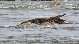 Sangama Mekedatu Kanakapura Ramanagara