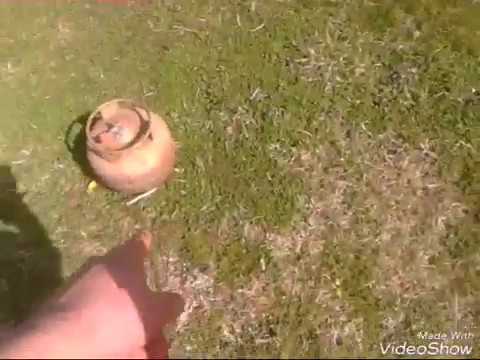 best fire.* ძაღლის შვილი ვიყო.*