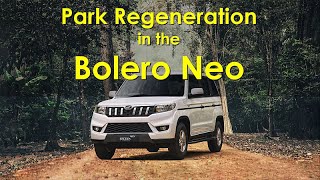 Park Regeneration | Bolero Neo