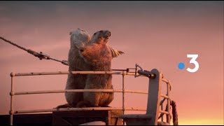 France 3 'Marmots' Idents (2018) (HD)