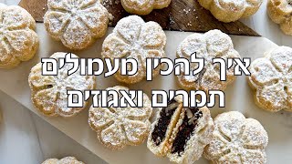 מעמולים תמרים ואגוזים מא׳ ועד ת׳