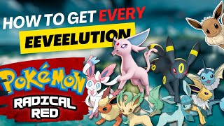 How to get Eevee and all the eeveelutions in Pokemon Radical Red