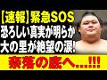 【大相撲名古屋場所】座布団投げは伝統ではない――名古屋場所が突きつけた安全への大きな課題