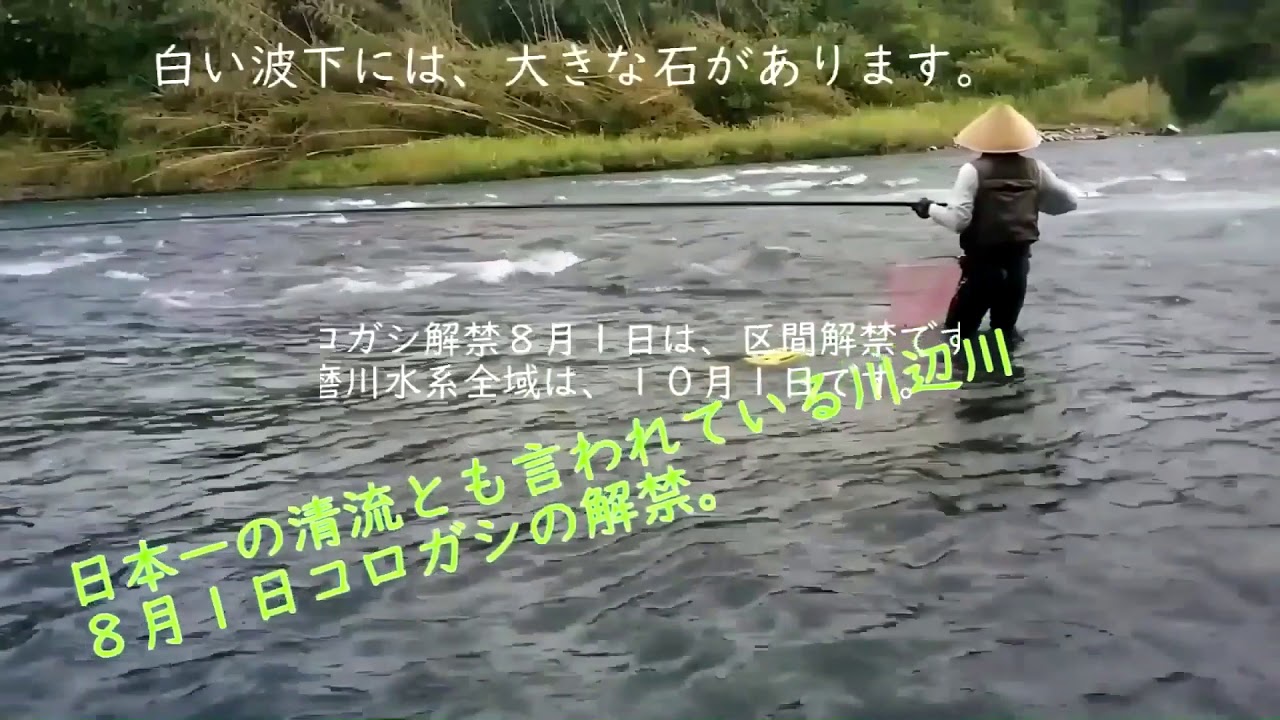 鮎コロガシ根がかり防止オモリ入れ替えバネ籠 Youtube