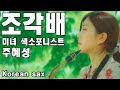 조각배(이선희) - 색소폰으로 국악을 연주하는 여자 [미녀 색소포니스트-주혜성] [ Beauty Korean sax girl ]