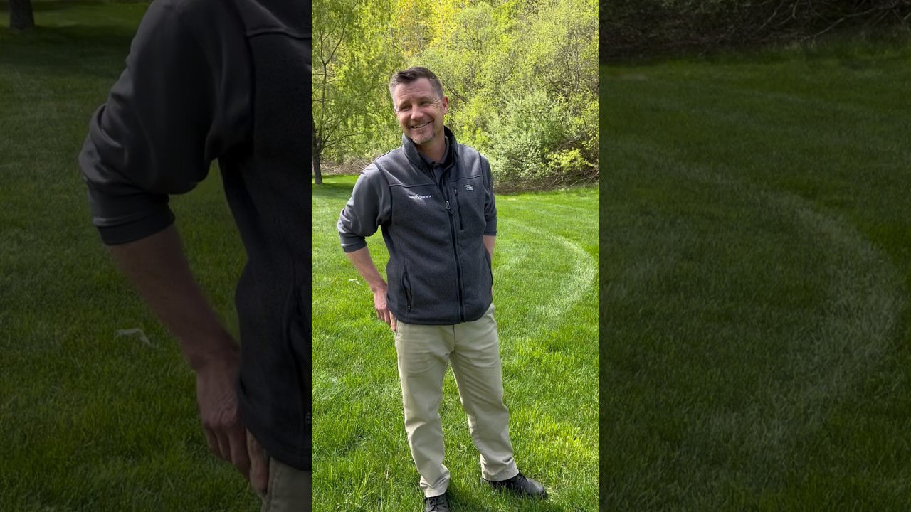 Why Is My Grass Seed Not Germinating? 