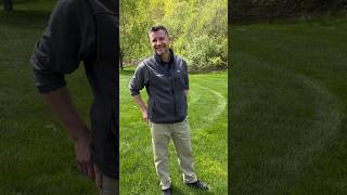 Why Is My Grass Seed Not Germinating? #lawncare #lawn #seed #germination