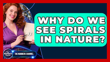 Why Do We See Spirals In Nature? - The Numbers Channel