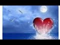 UN AMOUR INCONDITIONNEL !!!MAIS!!!! ACTION LIBERE LA PAROLE!!💙✨💙