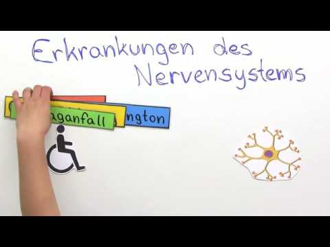 ERKRANKUNGEN DES NERVENSYSTEMS | Biologie | Biologie des Menschen (Mittelstufe)