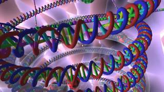 Chaperonins & polypeptides