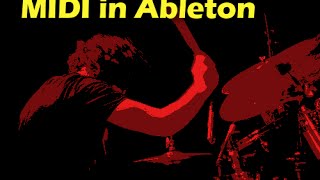 Using Groove Monkee Free Midi with Ableton Live