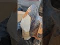 Lamp Abuse