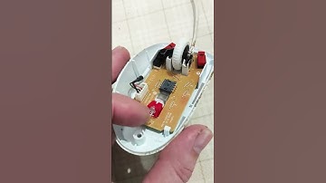 What is inside a computer mouse?