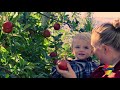 Washington Apples 1 minute industry video Mp3 Song