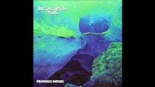 Demented Ted - Promises Impure (full album)