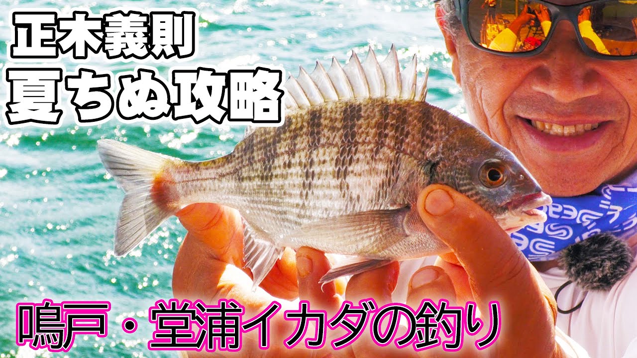 【イカダちぬ】正木義則名人 堂浦かかり釣り攻略 夏チヌ