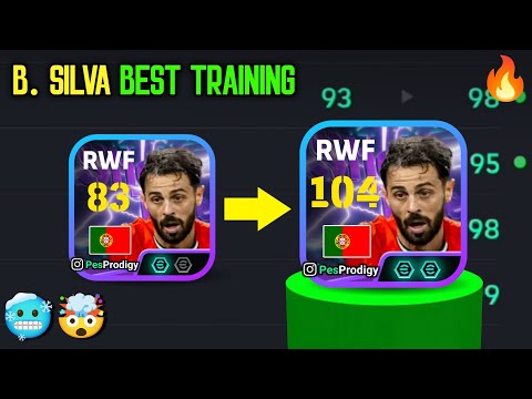 104                2026