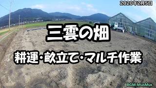 2020020502三雲耕運畝立マルチと法蓮草中耕#156